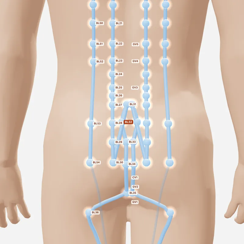 Huyệt Thứ Liêu — huyệt lân cận