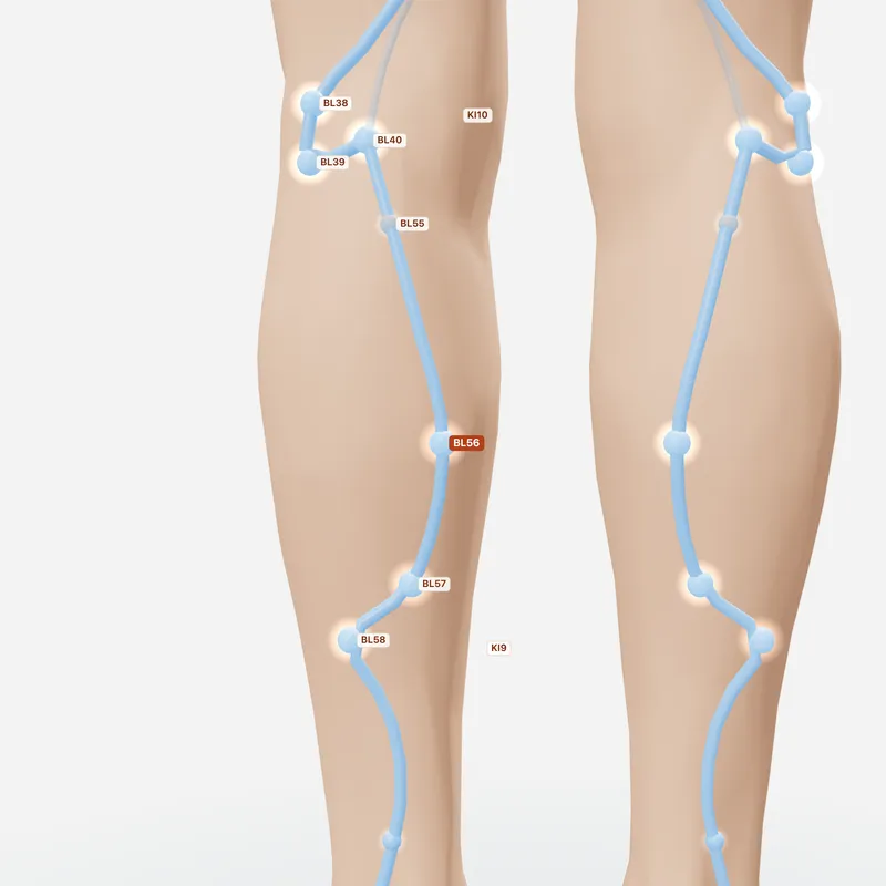 Huyệt Thừa Cân — huyệt lân cận