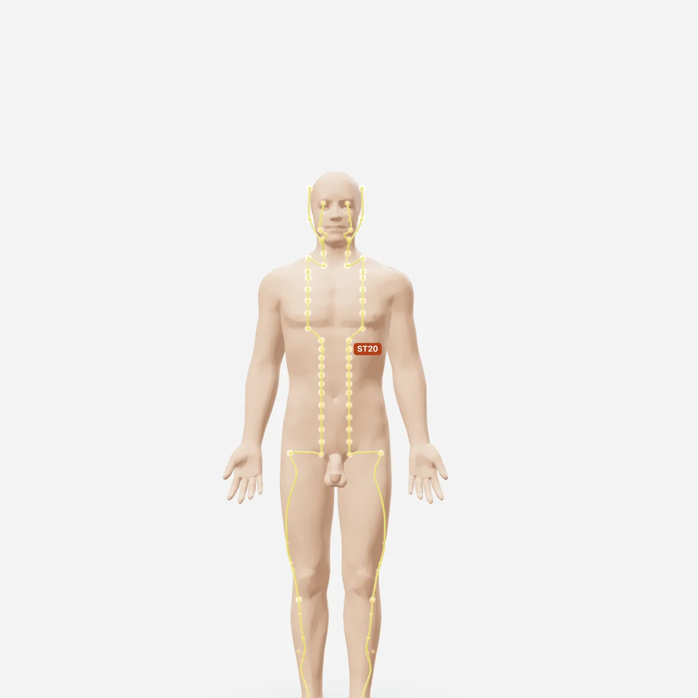 Huyệt Thừa Mãn — toàn đường kinh