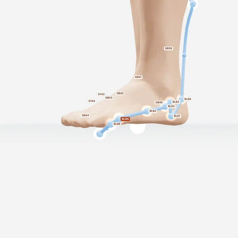 Huyệt Thúc Cốt — huyệt lân cận
