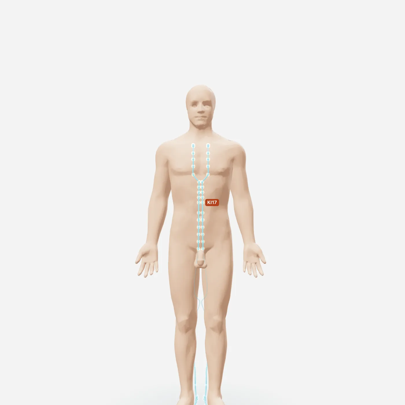Huyệt Thương Khúc — toàn đường kinh