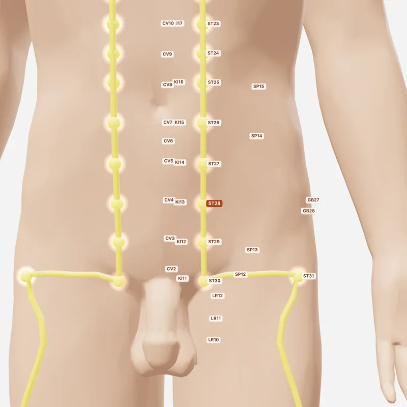 Huyệt Thủy Đạo — huyệt lân cận