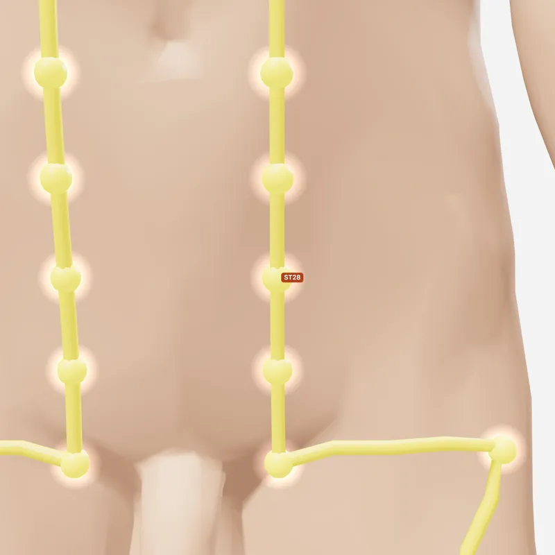 Huyệt Thủy Đạo — trên da