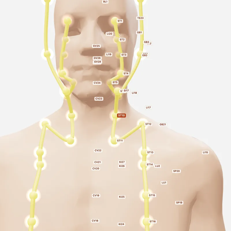 Huyệt Thủy Đột — huyệt lân cận