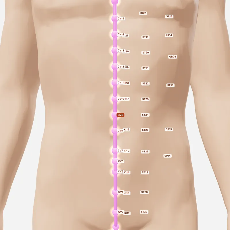 Huyệt Thủy Phân — huyệt lân cận