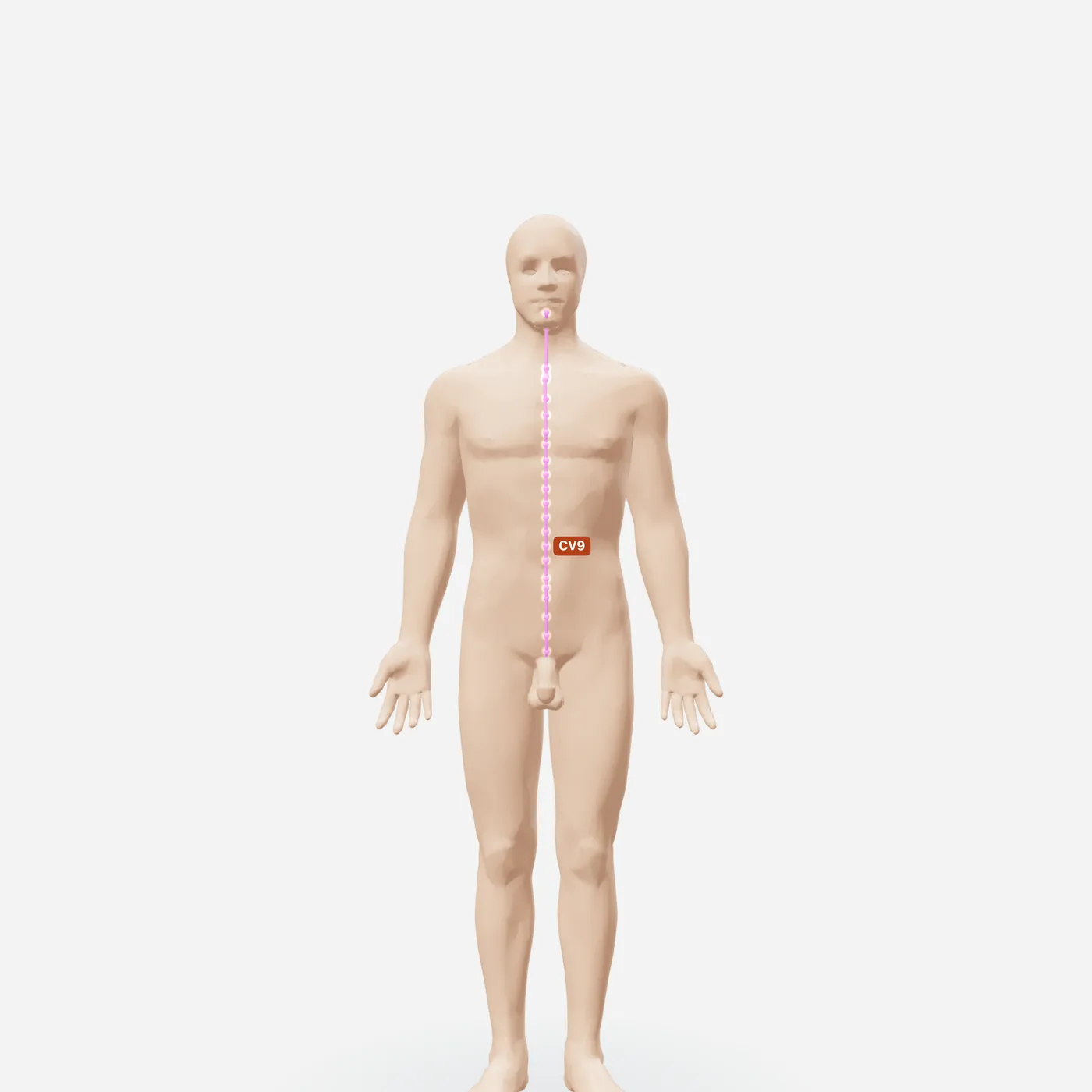 Huyệt Thủy Phân — toàn đường kinh