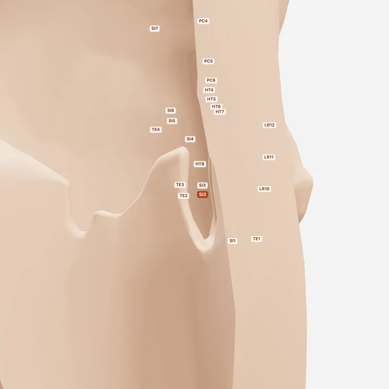 Huyệt Tiền Cốc — huyệt lân cận