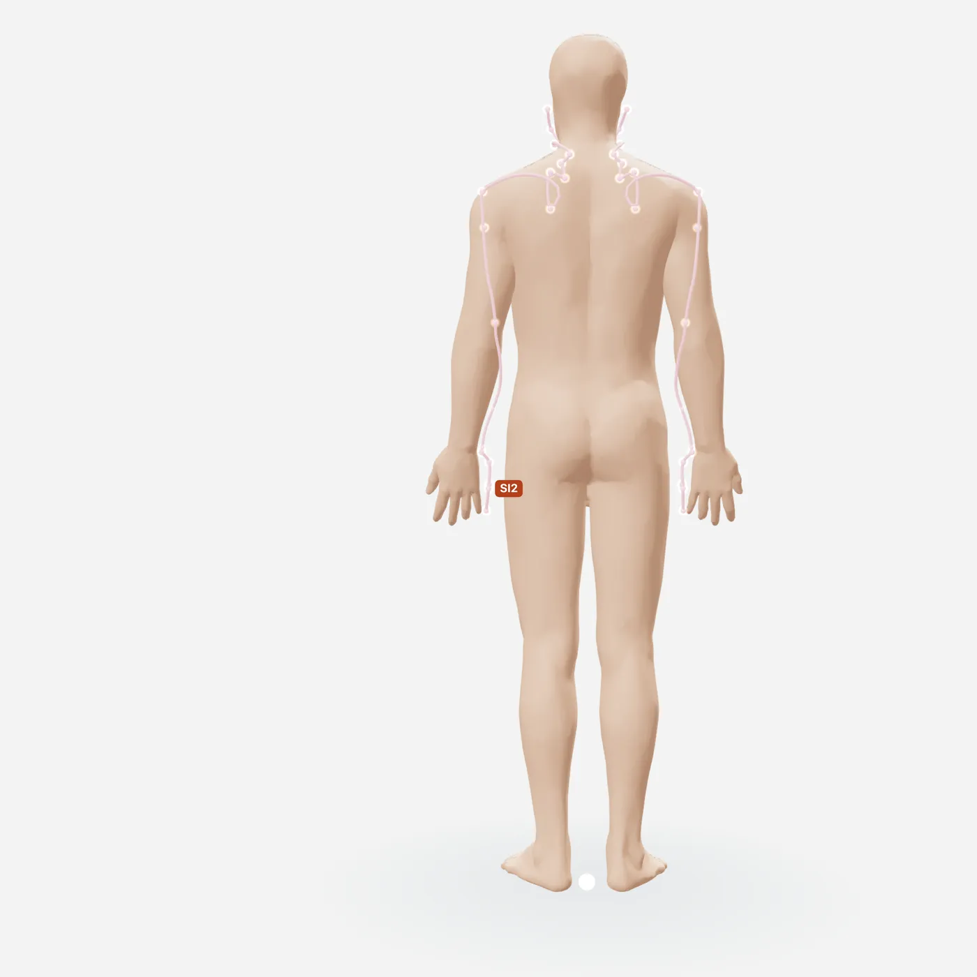 Huyệt Tiền Cốc — toàn đường kinh
