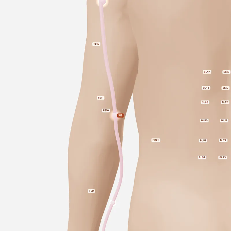 Huyệt Tiểu Hải — huyệt lân cận