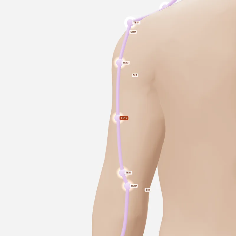 Huyệt Tiêu Lạc — huyệt lân cận