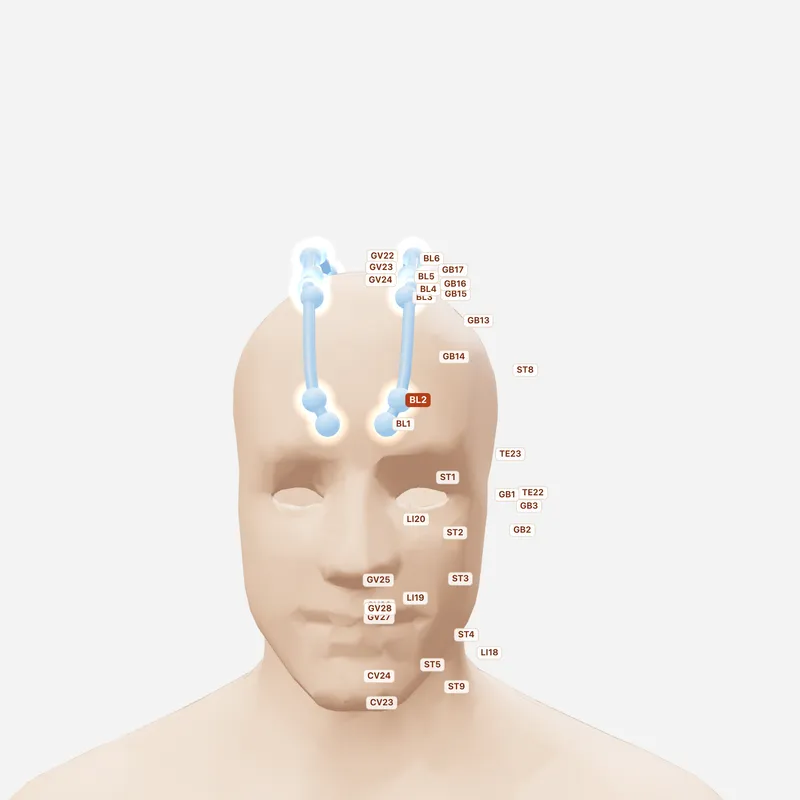 Huyệt Toàn Trúc — huyệt lân cận