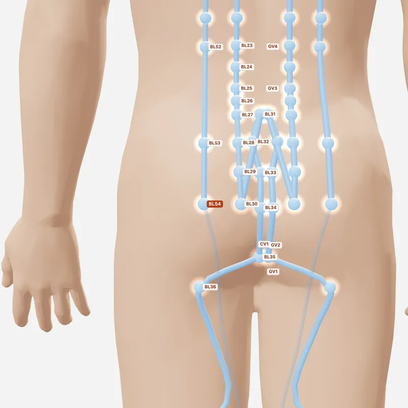 Huyệt Trật Biên — huyệt lân cận