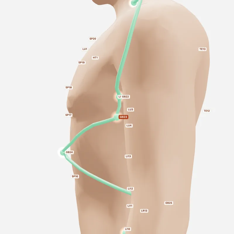 Huyệt Triếp Cân — huyệt lân cận