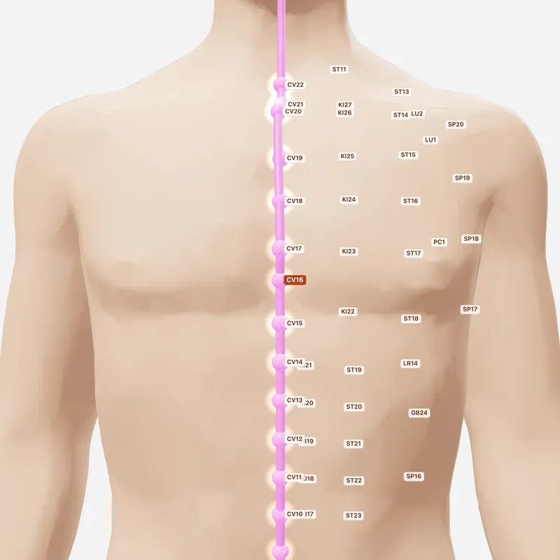 Huyệt Trung Đình — huyệt lân cận
