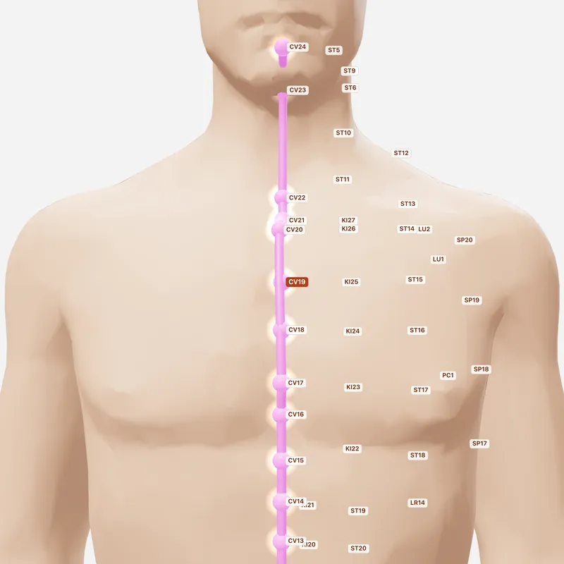 Huyệt Tử Cung — huyệt lân cận