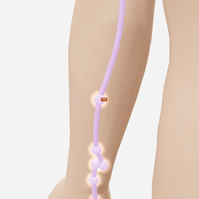 Huyệt Tứ Độc — trên da