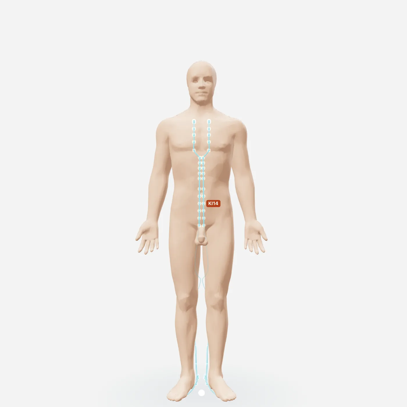 Huyệt Tứ Mãn — toàn đường kinh