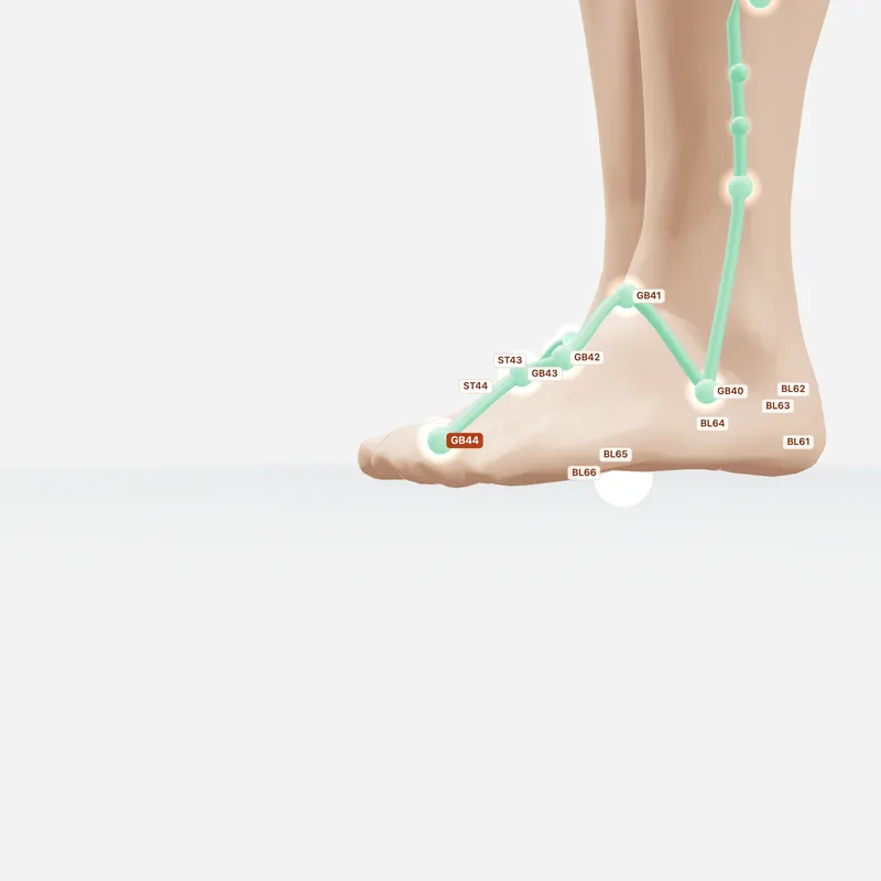 Huyệt Túc Khiếu Âm — huyệt lân cận