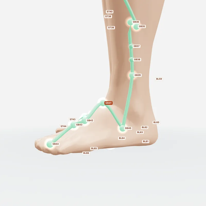 Huyệt Túc Lâm Khấp — huyệt lân cận