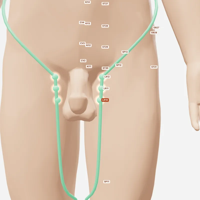 Huyệt Túc Ngũ Lý — huyệt lân cận