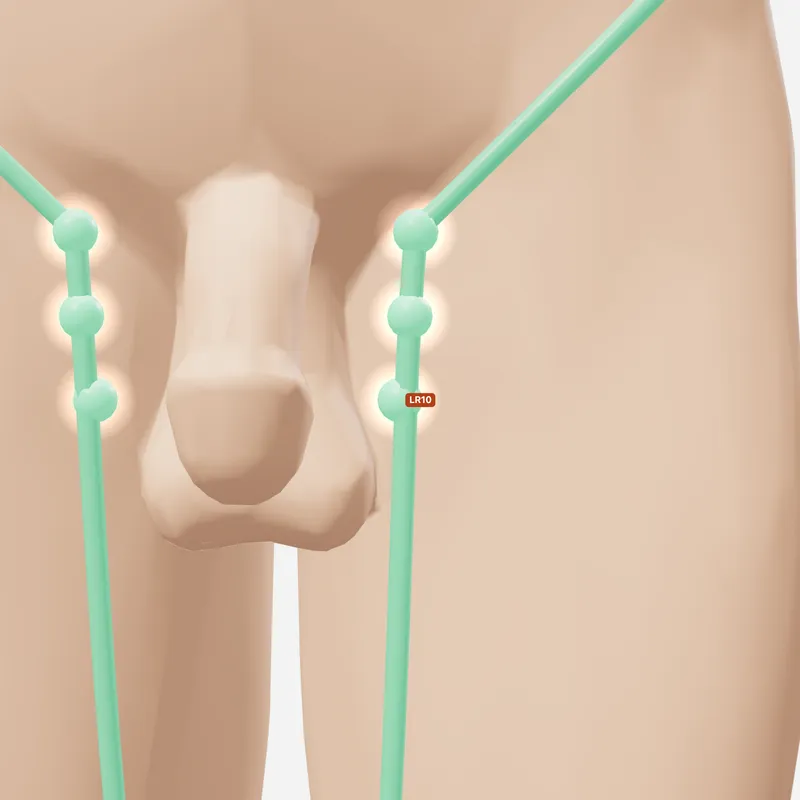 Huyệt Túc Ngũ Lý — trên da