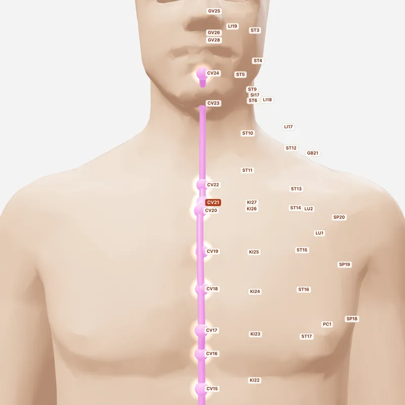 Huyệt Tuyền Cơ — huyệt lân cận