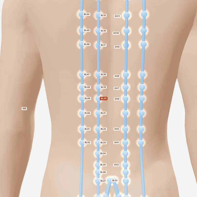 Huyệt Tỳ Du — huyệt lân cận