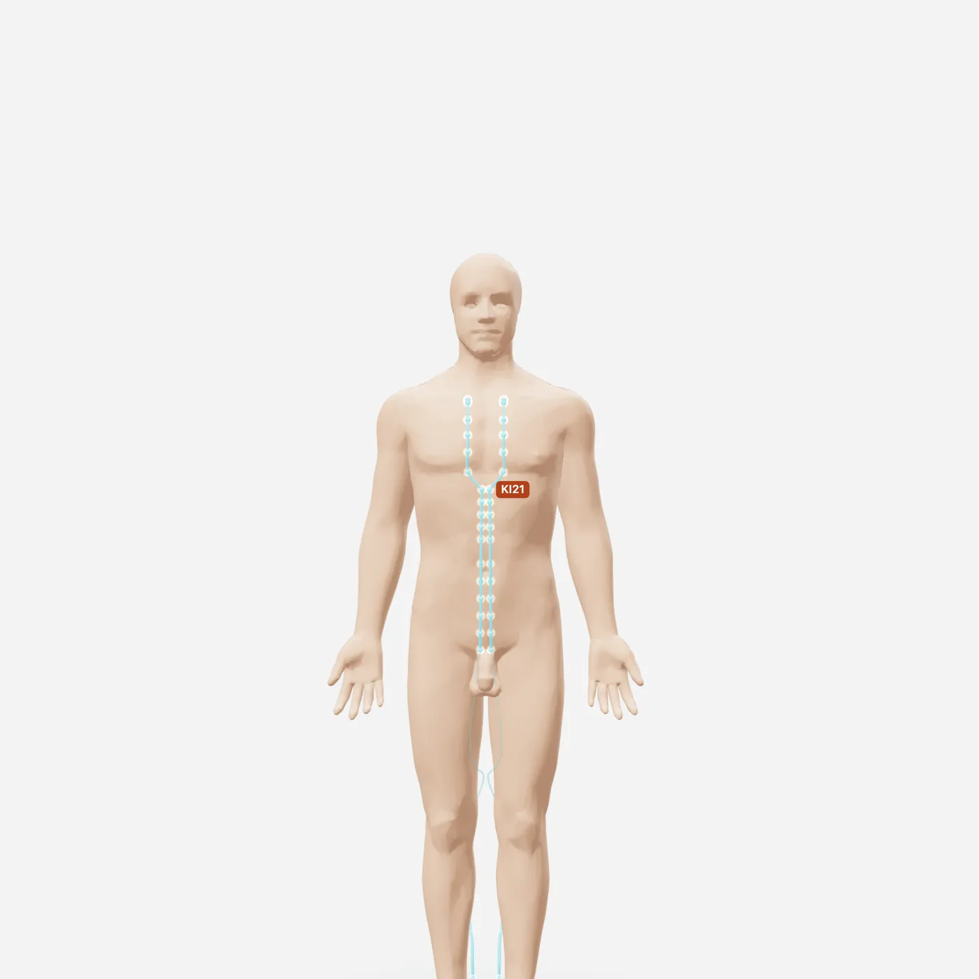 Huyệt U Môn — toàn đường kinh