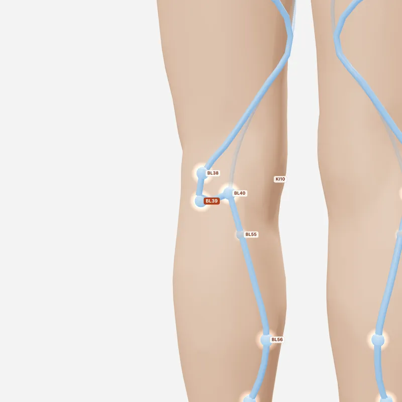 Huyệt Ủy Dương — huyệt lân cận