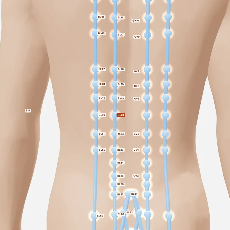 Huyệt Vị Du — huyệt lân cận