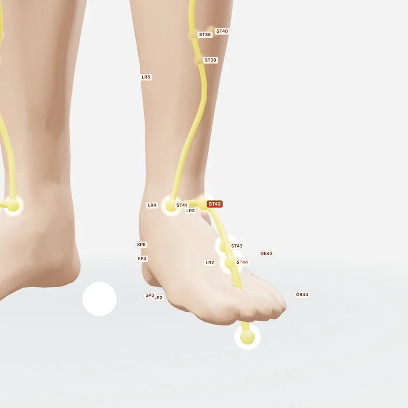Huyệt Xung Dương — huyệt lân cận