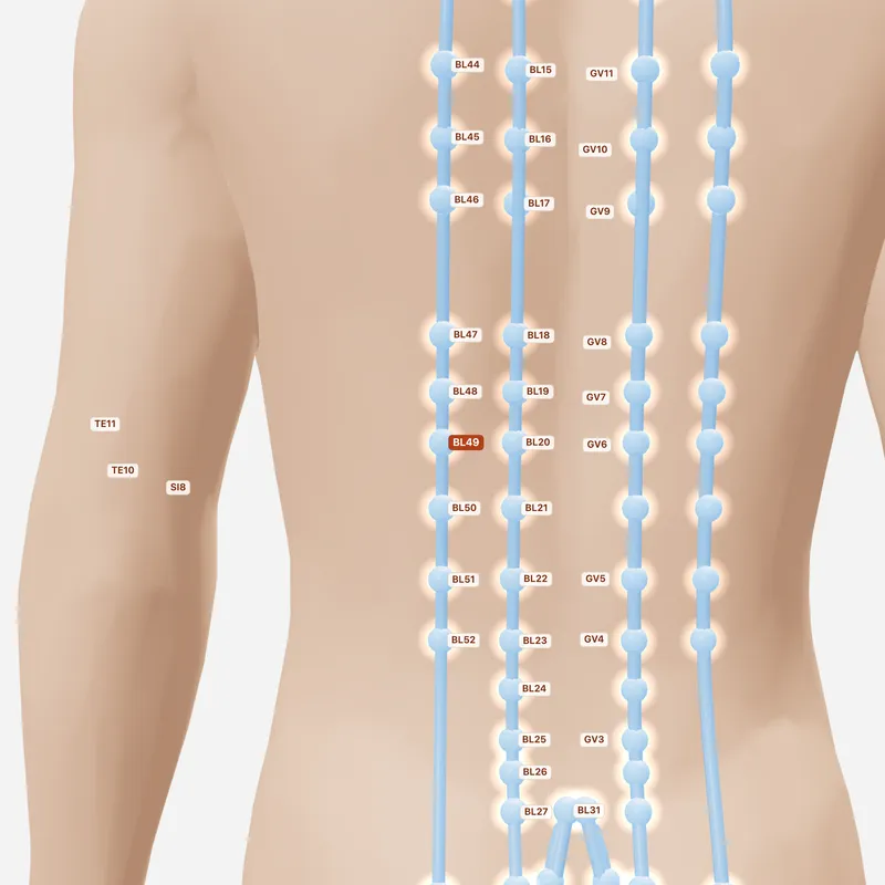 Huyệt Ý Xá — huyệt lân cận