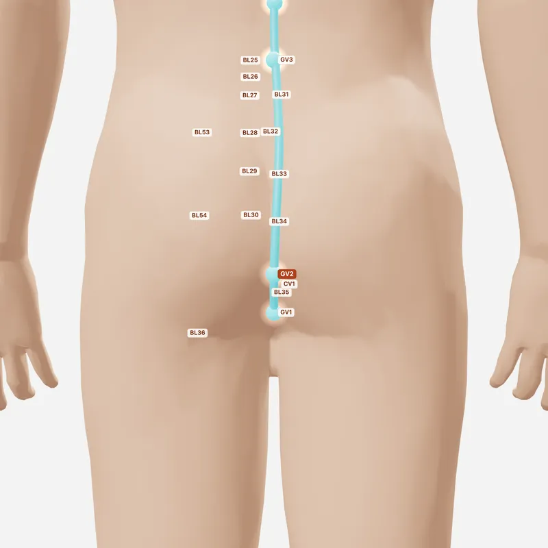 Huyệt Yêu Du — huyệt lân cận