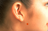 Sơ đồ huyệt Cơ Quan