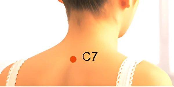 Sơ đồ huyệt Đại Chuỳ Tứ Huyệt