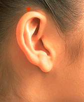 Sơ đồ huyệt Giác Tôn