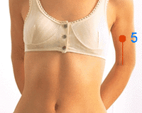 Sơ đồ huyệt Hiệp Bạch