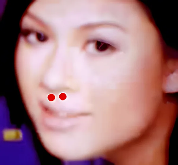 Sơ đồ huyệt Hòa Liêu