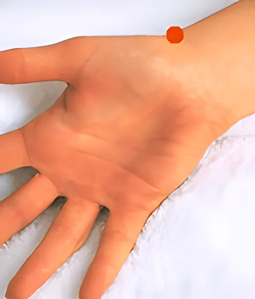 Sơ đồ huyệt Kháo Sơn