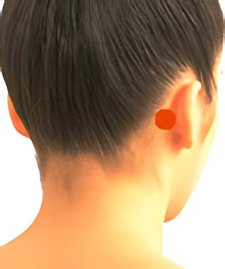 Sơ đồ huyệt Khế Mạch