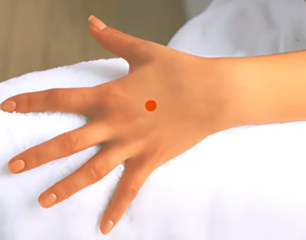 Sơ đồ huyệt Lạc Chẩm