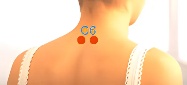 Sơ đồ huyệt Lục Cảnh Chùy Bàng