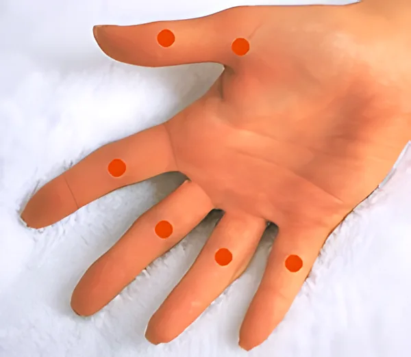Sơ đồ huyệt Lục Phùng