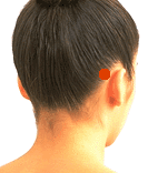 Sơ đồ huyệt Lư Tức