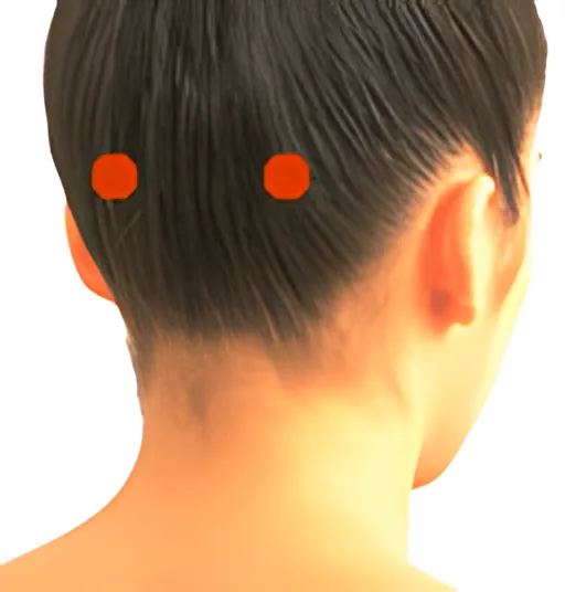 Sơ đồ huyệt Ngọc Chẩm