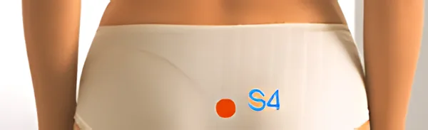 Sơ đồ huyệt Ngọc Điền