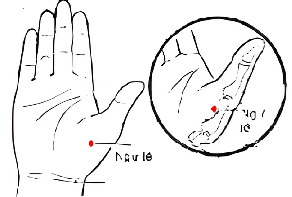 Sơ đồ huyệt Ngư Tế