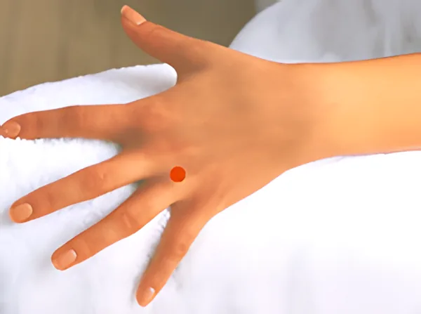 Sơ đồ huyệt Ngược Môn