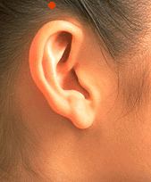 Sơ đồ huyệt Nhĩ Thượng