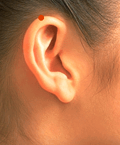 Sơ đồ huyệt Nhĩ Tiêm